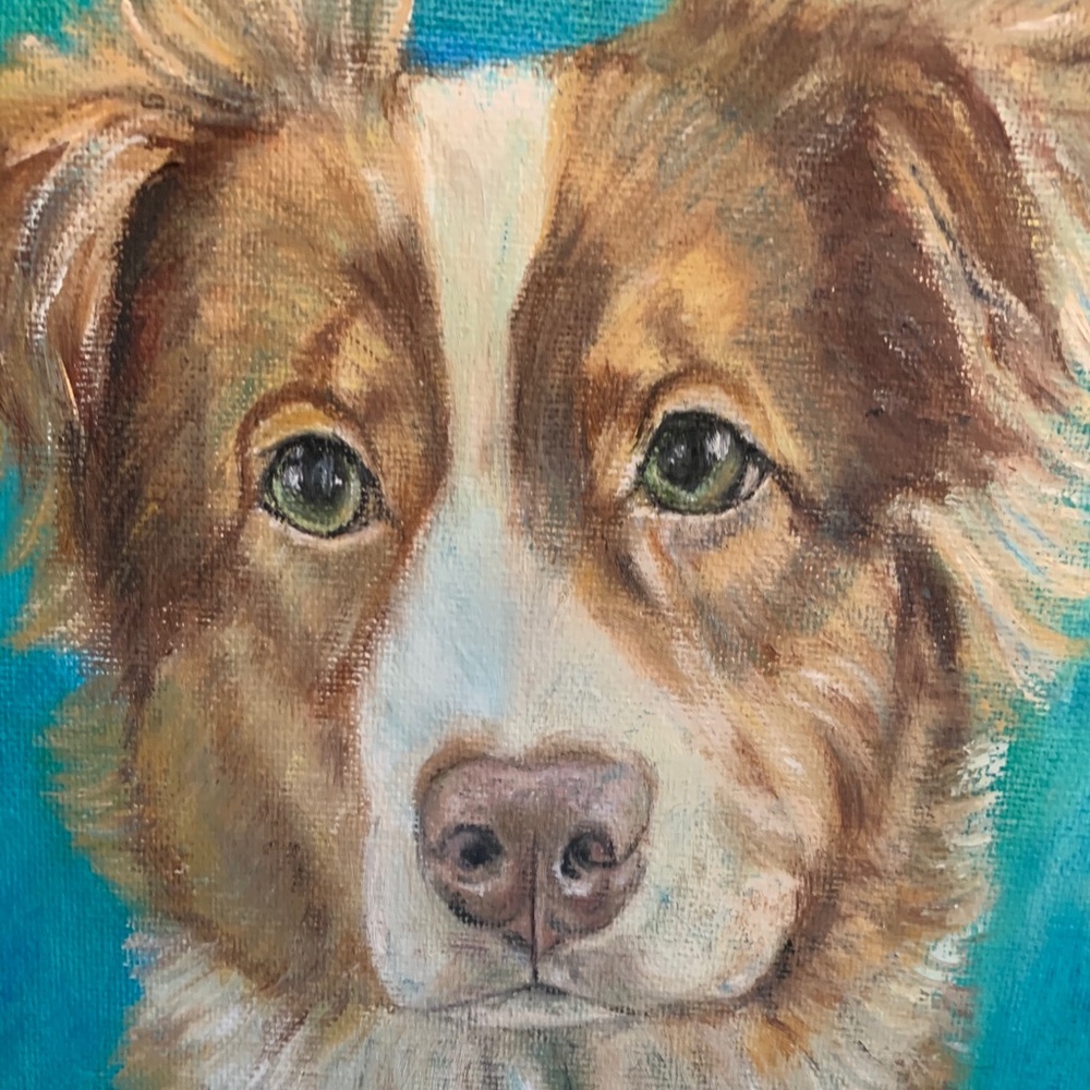 Border Collie Original Painting